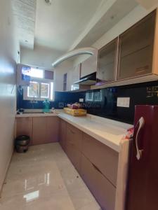 Kitchen Image of 850 Sq.ft 2 BHK Apartment / Flat for rent in Kalyan Oasis, Jagatpura Jaipur for Rs. 26500