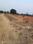 LDA approved project  Main Image 1
