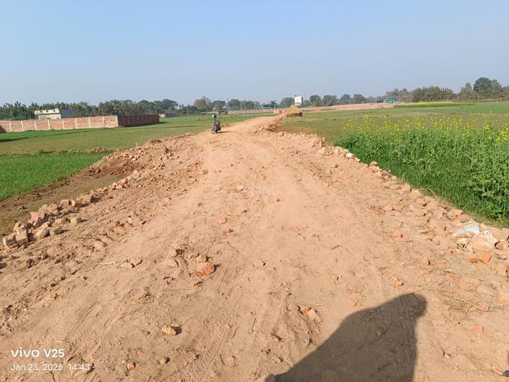 Chirora Main Image 1