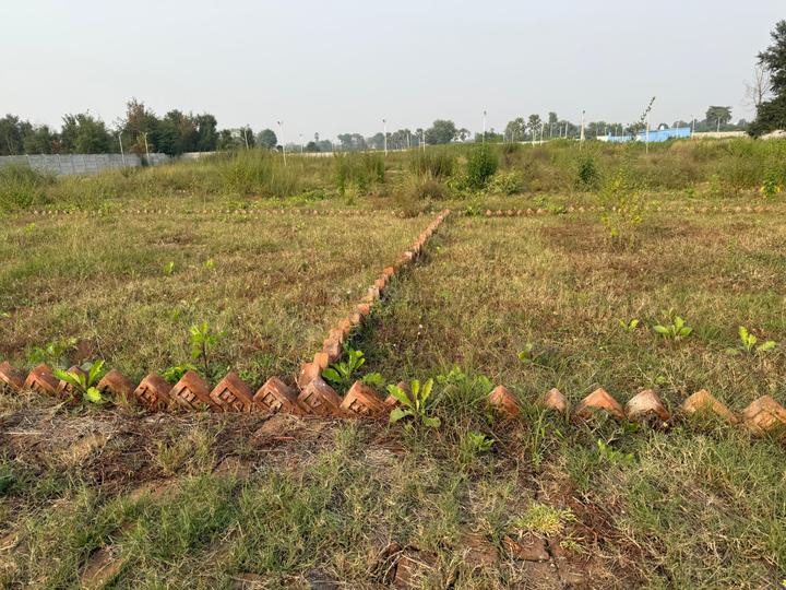 PHASE XVI Main Image 1