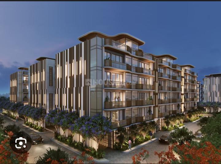 MRG Crown Main Image 1