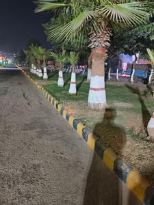 Image of 91 Sq.ft Residential Plot / Land for sale in Trimurti Villas, Matila, Bhiwadi for Rs. 6700000
