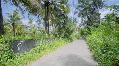 North Paravoor Plot View 2