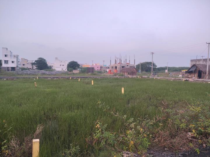 The Kings Court Main Image 1