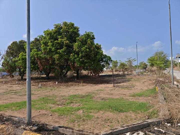 JJS THE CREST Main Image 1