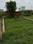 Ansal's Sushant City Plot View 2