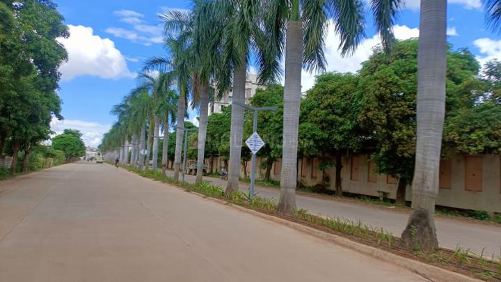 Ask Paradise Main Image 1