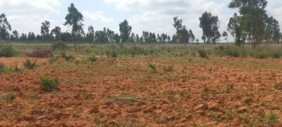 Image of 2738 Sq.ft Residential Plot / Land for sale in Somalapura, Chikballapur District for Rs. 9993700