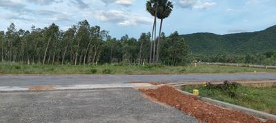 Anandapuram Plot View 2