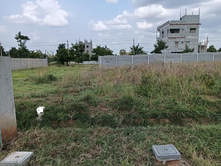 Citilights Seasons Main Image 1