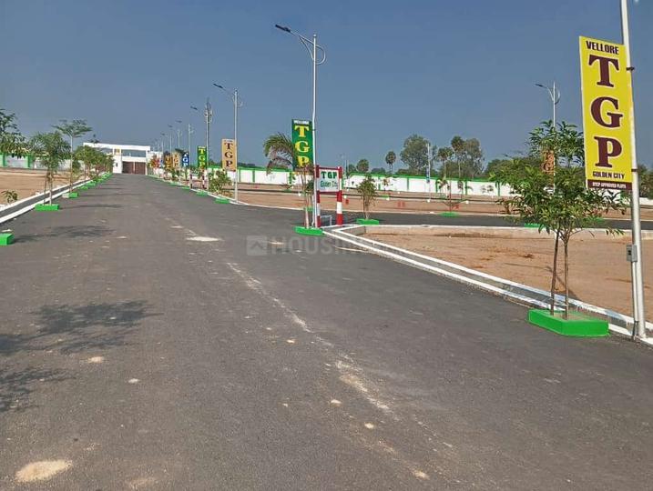 TGP Golden city Main Image 1