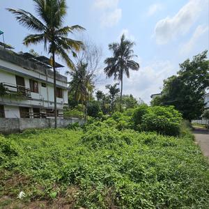 Residential Plot