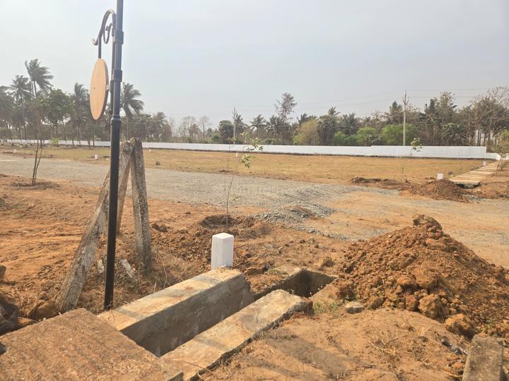 Koppaka Main Image 1