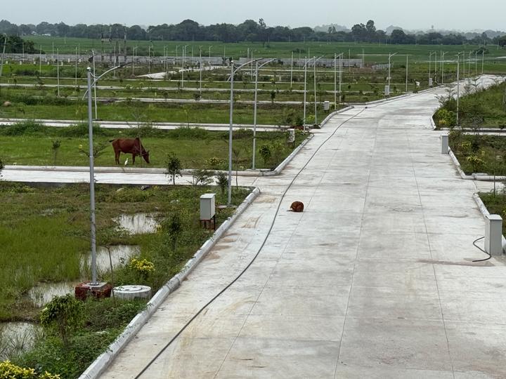 Shukruthi Jayaketana Main Image 1