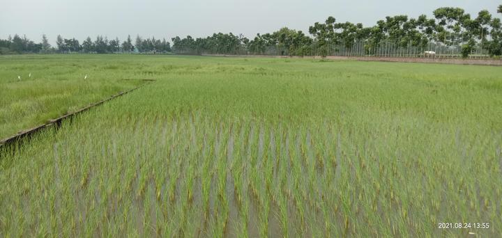 Sonarpur Main Image 1
