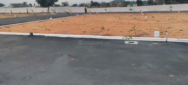 Karamadai Main Image 1