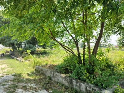 Image of 100 Sq.ft Residential Plot / Land for sale in Bhanauta, Greater Noida for Rs. 3511300