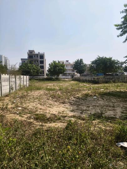 M2K Olive Greens Main Image 1