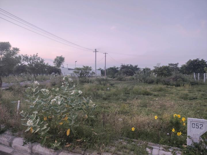 Silver Field Phase 2 Main Image 1