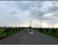 Aranya City Of Woodland Chatoud Main Image 1