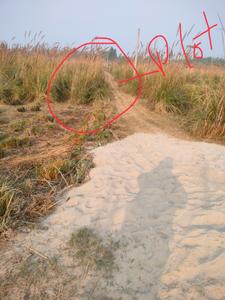 Image of 3000 Sq.ft Residential Plot / Land for sale in Suman Nagar, Haridwar for Rs. 1900000