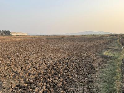 Residential Plot