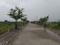 Adani Oyster Greens Internal Roads 1