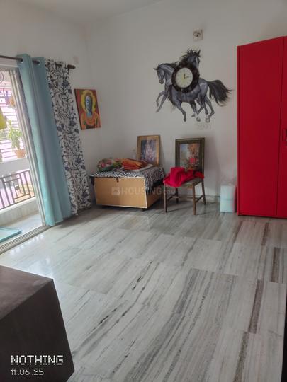 Deb Nibas Main Image 1