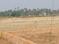 Balianta Plot View 2