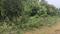 Kothavalasa Plot View 2
