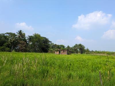 Image of 2880 Sq.ft Residential Plot / Land for sale in Natures Paradise, Joka, Kolkata for Rs. 680000