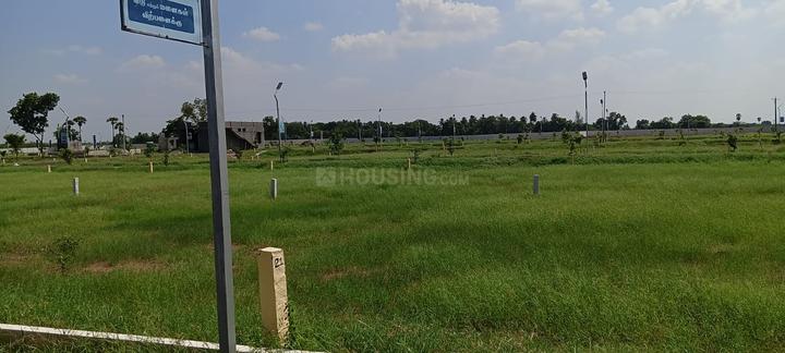 Star Luxor Main Image 1