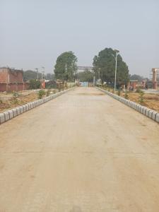 Residential Plot