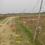 Jungle Dhusan Main Image 1