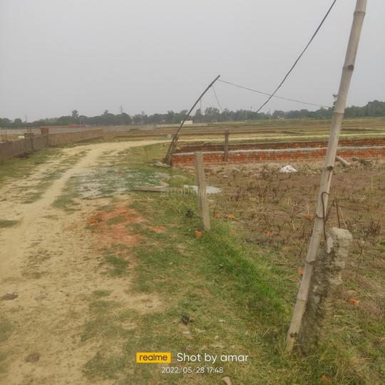 Jungle Dhusan Main Image 1