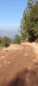 Image of 1350 Sq.ft Residential Plot / Land for sale in Kausani, Almora for Rs. 1200000