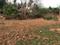 Bantwal Plot View 2