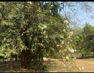 Neral Plot View 1
