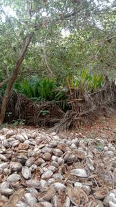 Image of 99999 Sq.ft Residential Plot / Land for sale in Kalayarkoil, Sivaganga for Rs. 300000000