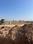 Pristine city 2 Plot View 1