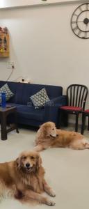Hall Image of 407 Sq.ft 1 BHK Apartment / Flat for sale in Green Paradise, Dahin Nagar Surat for Rs. 3200000