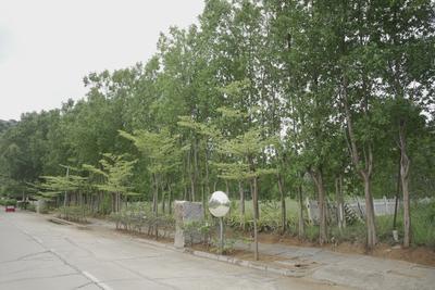 Image of 5000 Sq.ft Residential Plot / Land for sale in Nandi Hills, Chikballapur District for Rs. 45000000