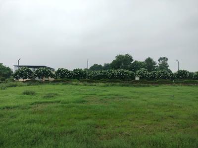 Image of 963 Sq.ft Residential Plot / Land for sale in Mansha Oaks, Sector 98, Faridabad for Rs. 13900000