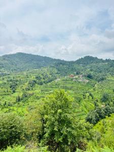 Better Homes Realty Plot View 1