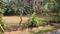 basavanagar main road Main Image 1