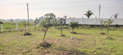 Image of 9600 Sq.ft Residential Plot / Land for sale in Walajabad, Chennai for Rs. 2400000