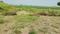 Chirora Plot View 2