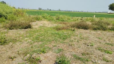 Image of 750 Sq.ft Residential Plot / Land for sale in Chirora, Patna for Rs. 1725000