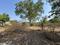 Vardhaman colony Plot View 2