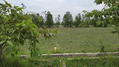 Image of 167 Sq.ft Residential Plot / Land for sale in Kothavalasa, Visakhapatnam for Rs. 1837000